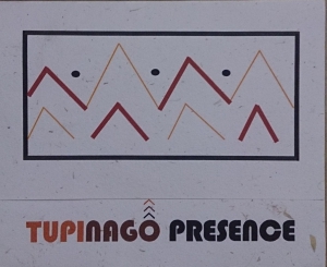 O que &eacute; TUPINAG&Ocirc;